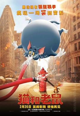 ntr什么含义